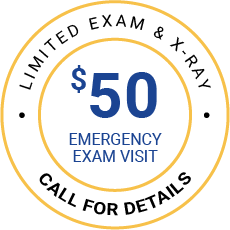 $29 Emergency Exam special